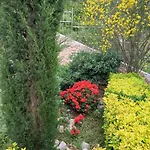 Vakantiehuis Luxurioese Hera- Korcula- Am By Interhome *